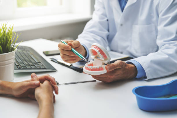 Professional Holistic Dental Care Services in Plymouth, MI